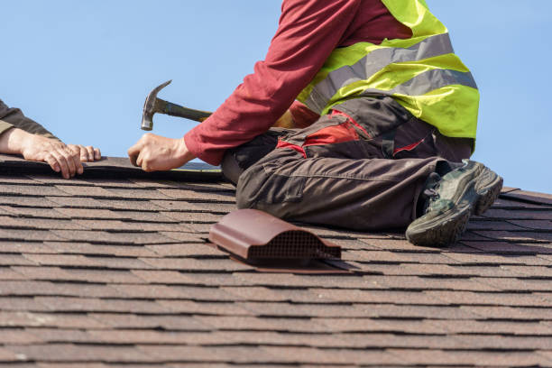 Best Roof Leak Repair  in Walcott, IA