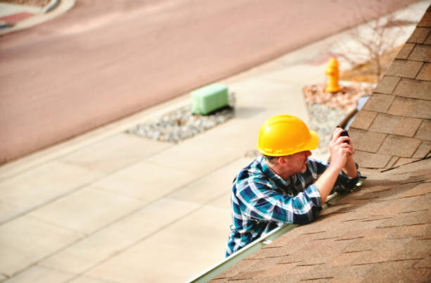 Best Roof Maintenance Services  in Walcott, IA