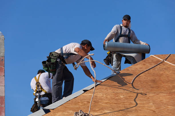 Best Best Roofing Contractors  in Walcott, IA