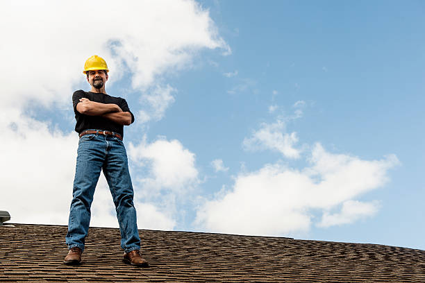 Best Residential Roof Replacement  in Walcott, IA