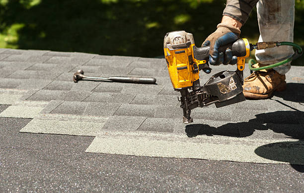 Best Roof Gutter Cleaning  in Walcott, IA