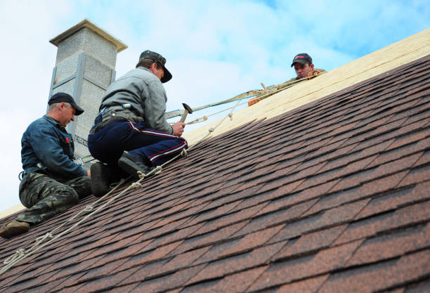 Quick and Trustworthy Emergency Roof Repair Services in Walcott, IA